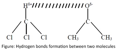 Hydrogen bonds formation between two molecules